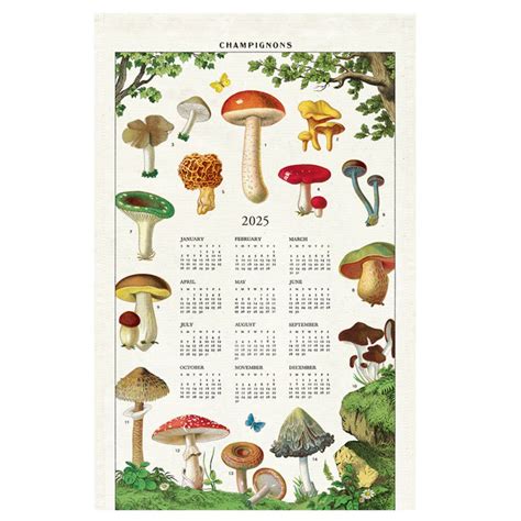 2025 Mushrooms Calendar Towel Marmalade Mercantile