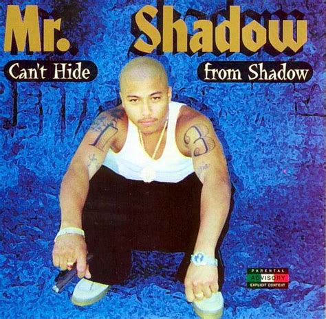 Mr Shadow Can T Hide From Shadow Cd Flac Kbps