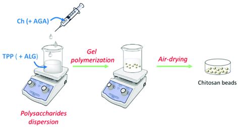 General Flow Chart Of The Preparation Of Chitosan Based Beads