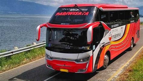 Sewa Bus Banyuwangi Harga Termurah Unit Baru Full Fasilitas Info Bus