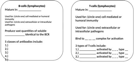 Solved B Cells Lymphocytes T Cells Lymphocytes Mature In Mature