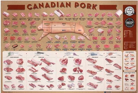 Pork Retail Cuts Chart | PDF