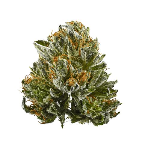 Bubba Kush aka BK, Bubba, Bubba OG Kush Weed Strain Information | Leafly