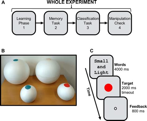 A The Experimental Design Employed In Experiments 3a3b After The