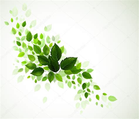 Branch With Fresh Green Leaves Stock Vector By Antart