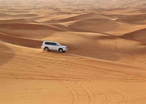 Desert Safari And Dhow Cruise Are The Most Favorite Tourist Activities