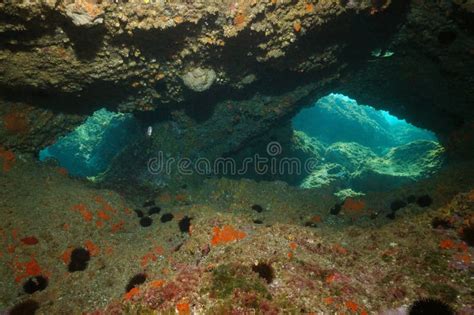 Openings Inside Sea Cave Underwater Mediterranean Stock Image Image