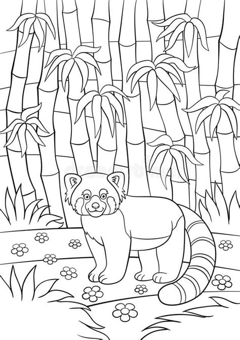 Dibujos De Panda Para Colorear E Imprimir Coloringonly