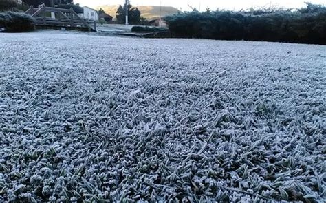 Frio Intenso Atinge O Sul Do Brasil Geada E Temperaturas Abaixo De