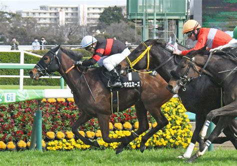 “千八の鬼”ホウオウエミーズ前走7、8分の出来で快勝 さらに上積みある／福島牝馬s｜極ウマ・プレミアム