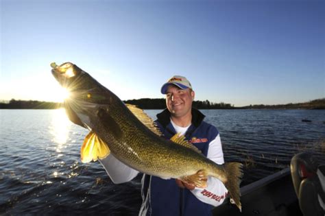 How To Catch Arkansas Walleye About Fishing