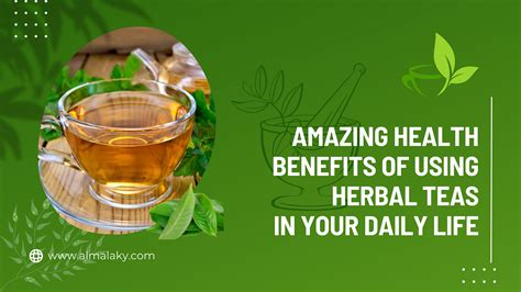 Amazing Health Benefits Of Using Herbal Teas In Your Daily Life By Almalaky Rooyal Apr 2023