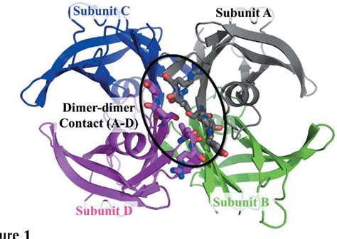 Figure From Diffraction Structural Biology Synchrotron Radiation