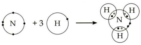 Explain the sharing of electrons in ammonia molecule