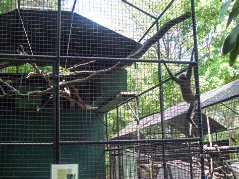 Emperor Valley Zoo Destination Trinidad And Tobago Tours Holidays