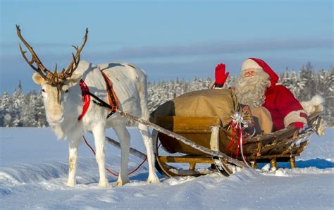 Santa Claus feeding reindeer at the top Ritavaara in Pello in Lapland - Travel Pello - Lapland ...