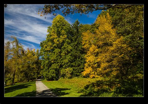 Washington Park Arboretum | RobsBlogs