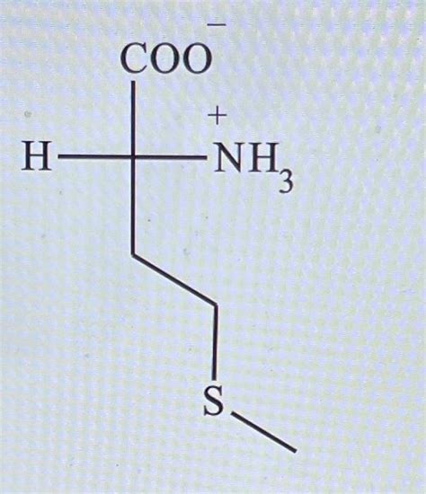 Solved Which Of These Amino Acids Are Naturally Occurring Chegg