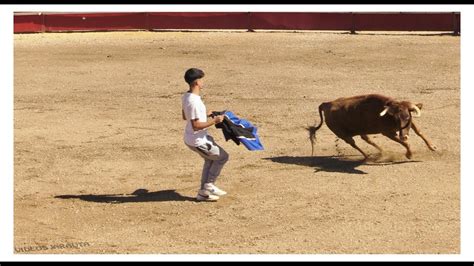 Greda Soria Matinal Vacas En Plaza Viernes Septiembre