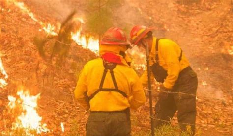 Emiten Declaratoria De Emergencia En Nl Por Incendios Forestales