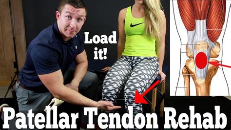 Patellar Tendon Rehab Exercises Youtube