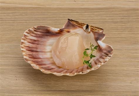 Premium Photo | Raw scallops