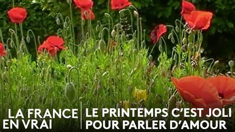 Le Printemps Cest Joli Pour Se Parler Damour En Replay La France En