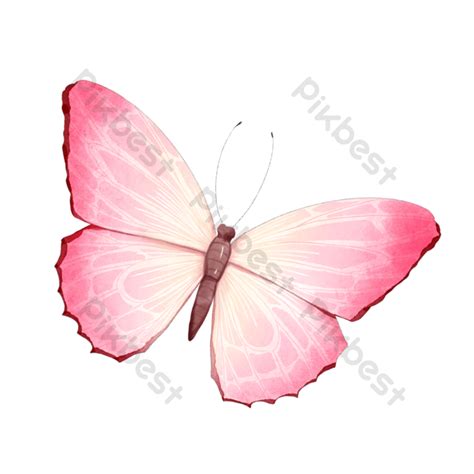 Borboleta Aquarela Florescendo Borboleta Rosa Psd Baixar Grátis Pikbest