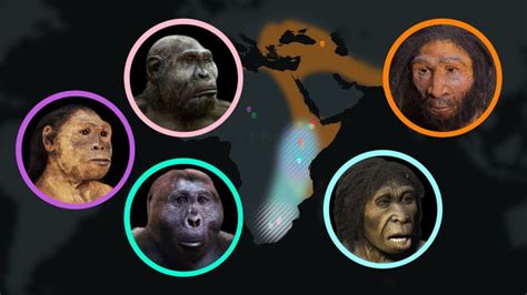 The Evolution Of Humans A Journey Of 7 Million Years Nl Today