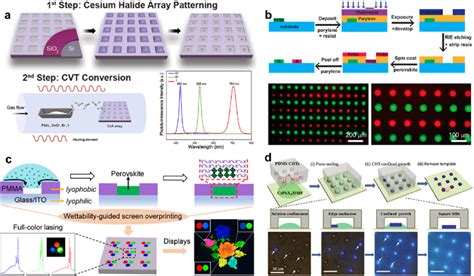 Template Assisted Patterning Of AILHPs A Schematics Of Large Scale