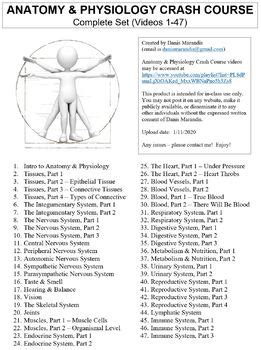 Crash Course Anatomy And Physiology Worksheets