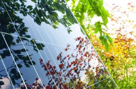 Fotovoltaico Gratis Nel 2024 Un Occasione Da Non Perdere Ecco Cosa