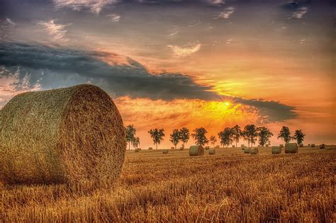 1920x1080px | free download | HD wallpaper: field, summer, sunset, hay ...