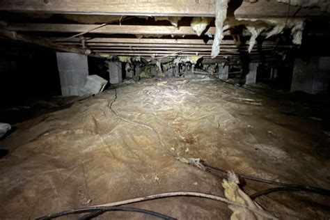 How To Choose The Right Waterproofing Contractor For Your Crawl Space