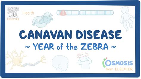 Canavan Disease Year Of The Zebra Youtube