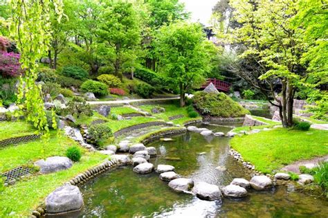 1006 best images about GRADINI JAPONEZE on Pinterest