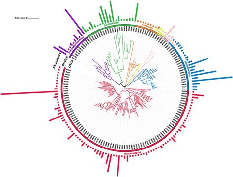 Frontiers Metagenomic Profiling Of Soil Microbes To Mine Salt Stress