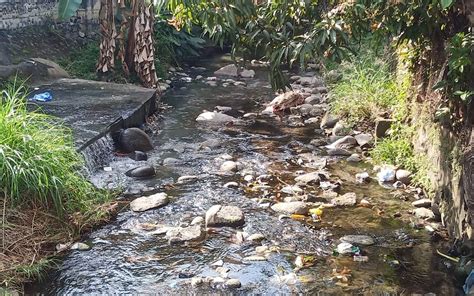 Agua Mantos Acuiferos Enfermedades Contaminacion Drenaje En