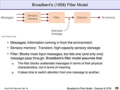 Introduction To Attention And Theories Of Selective Attention Ppt