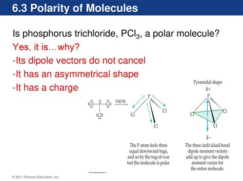 Pcl3 Polarity