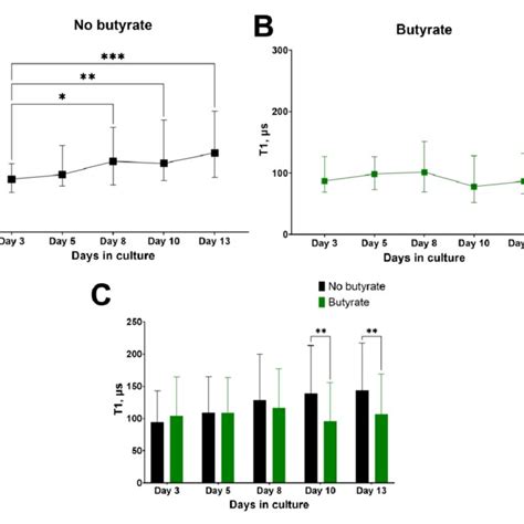 Bright Field DIC Images Of HT 29 Cells At Different Stages Of The