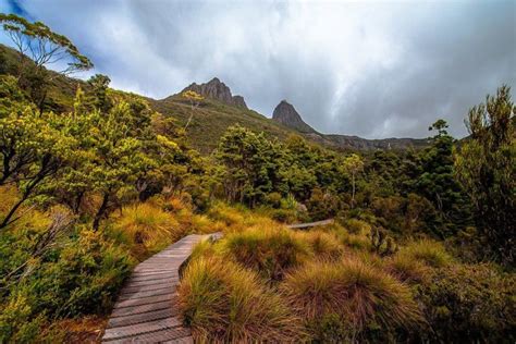 Cradle Mountain Day Trip From Launceston With Lunch