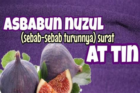 Asbabun Nuzul Surat At Tin Kabar Gembira Bagi Mukmin Yang Pikun