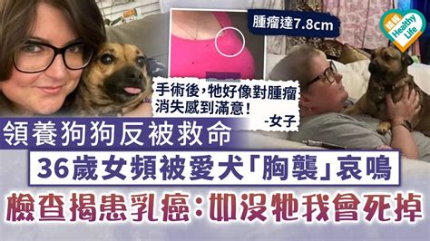 救命恩狗｜領養狗狗反被救命 36歲女頻被愛犬「胸襲」哀鳴 檢查揭患乳癌：如沒牠我會死掉 晴報 健康 腫瘤及癌症 D230722