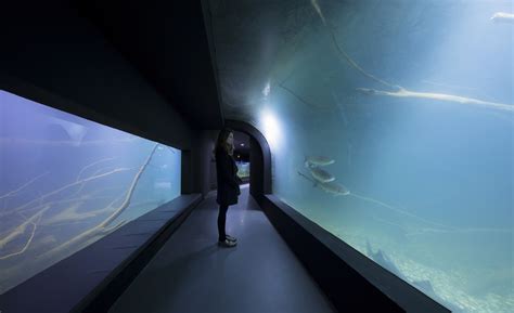 Gallery of Building Wonder: Global Aquariums Capture a Blue World - 8