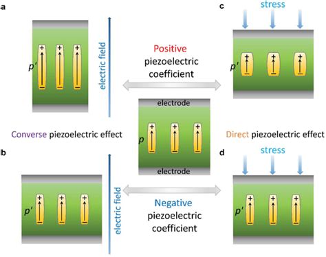 A B Schematic Of Converse Piezoelectric Effect In Response To An