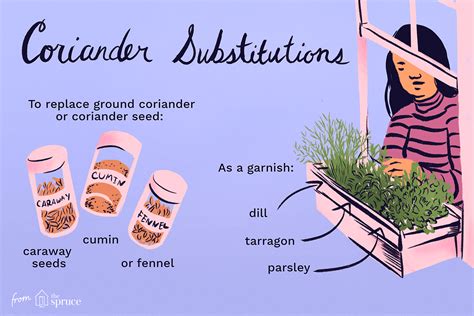 The Best Coriander Substitutes