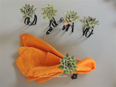 Succulent Napkin Ring Urban Succulents