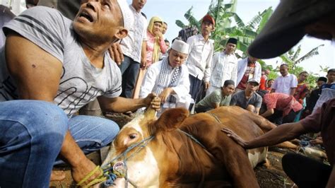 Panduan Dan Tata Cara Kurban Saat Idul Adha Ini Larangan Bagi Yang