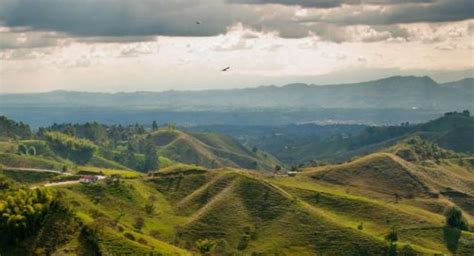 The Best Time To Visit The Coffee Triangle In Colombia